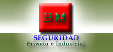 BM Seguridad Privada e Industrial